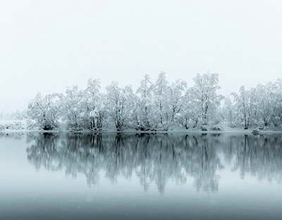 Интернет-алаяқтық пен есірткі қылмысына қарсы шаралар күшейтіледі – ШҚО