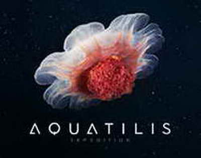 Ayxan Abbasov: 'Azarkeşlərin dəstəyi ilə qalib gəlmək istəyirik'