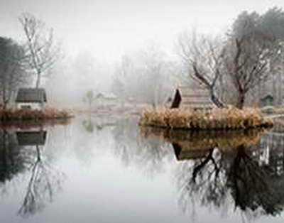 'Qəhrəman ana ilə mən də çəkdirim' - Mehriban Əliyeva