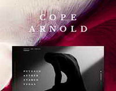 Қару ұстауға талап қатаяды: Сенат қауіпсіздікке қатысты жаңа заңды мақұлдады